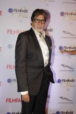 Amitabh Bachchan at Ciroc Filmfare Galmour and Style Awards in Mumbai on 26th Feb 2015